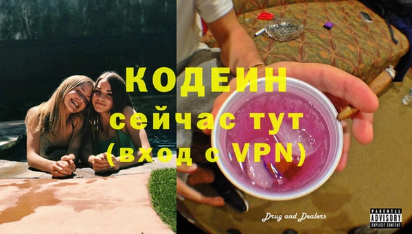 стаф Тайга